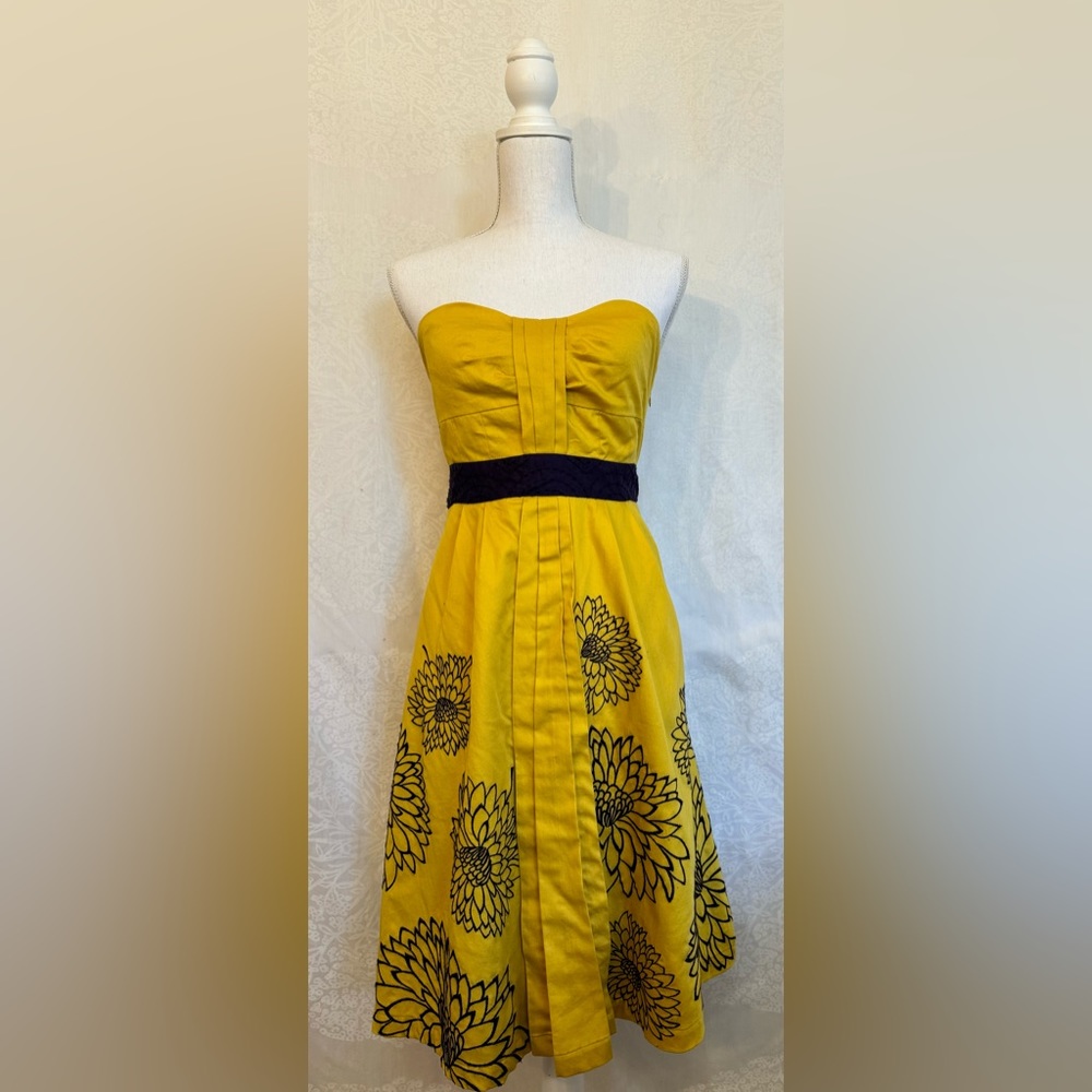 FLOREAT Dress by Anthropologie !